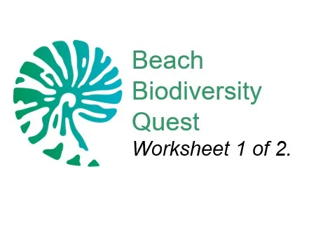 Beach Biodiversity Quest -1