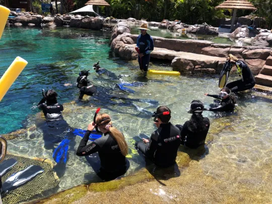 snorkel training in pool