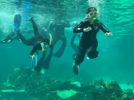 snorkelling on the reef