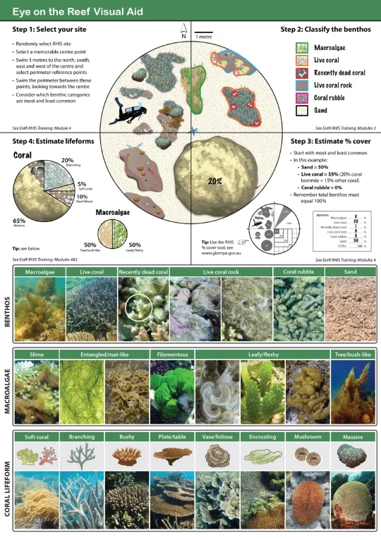 Eye on the Reef visual aid reference