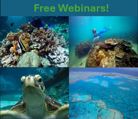 Free webinars