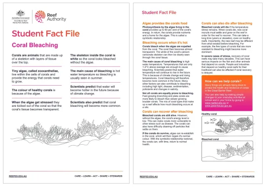 Fact file image