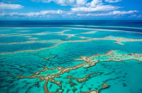 Aerial reef shot
