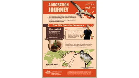 A migration journey - poster.jpg