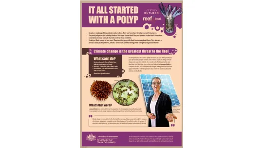 It all started..polyp_.jpg
