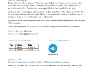 Growing up on the reef flyer