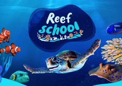 Reef School image from ABC