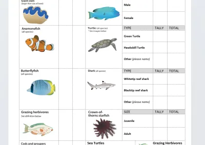 Image of 10-minute timed swim survey