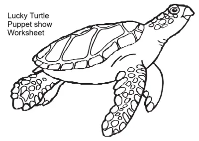 Image of a Turtle