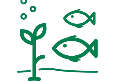 Ecosystems and connectivity icon