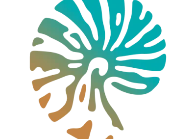 Indigenous sea country icon