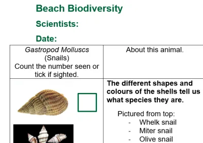 beach biodiversity worksheet
