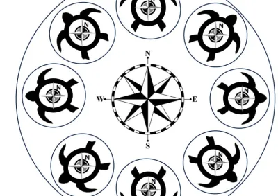 Turtle Compass