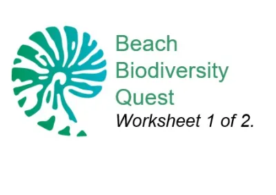 Beach Biodiversity Quest -  worksheet 1 of 2. 