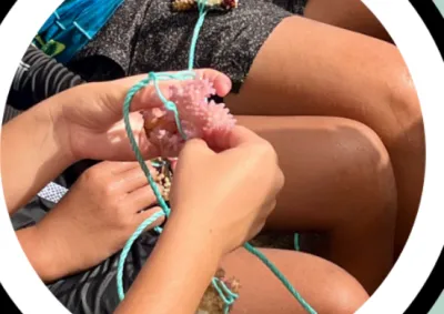 Grow Aitutaki thumbnail