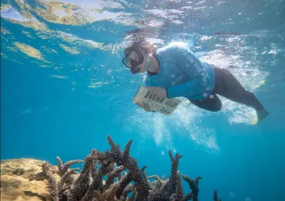 Picture of snorkeler completing in-water survey.