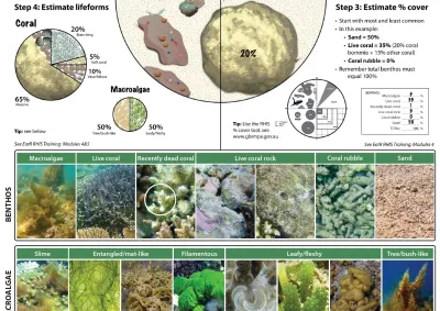Eye on the Reef visual aid reference