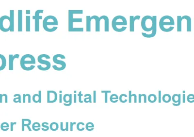 ewe teacher resource guide