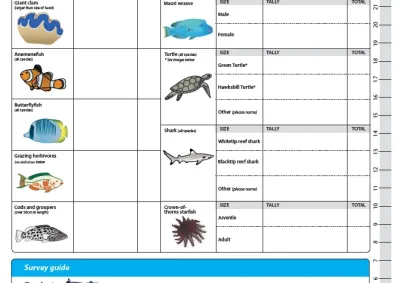 Image of Be a Marine Biologist for a Day - Timed Swim Survey Slate