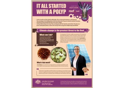 It all started..polyp_.jpg