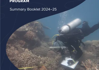MMP Summary Report 2024-25.png
