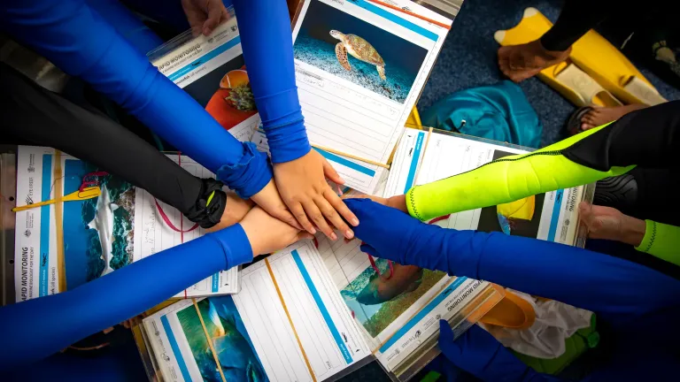 kids learning eye on the reef