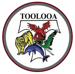 Toolooa State High School logo