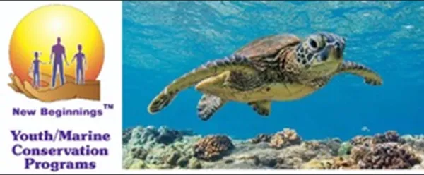 New Beginnings Marine Projects logo