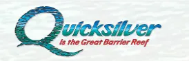 quicksilver logo
