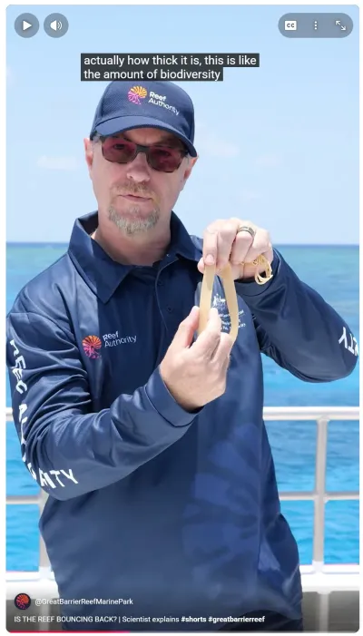 Reef resilience explained