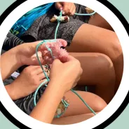 Grow Aitutaki thumbnail