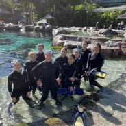New Beginnings - Reef Pool Snorkelling 2.jpeg